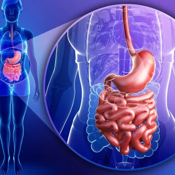 BÄK-Curriculum „Klimawandel und Gesundheit