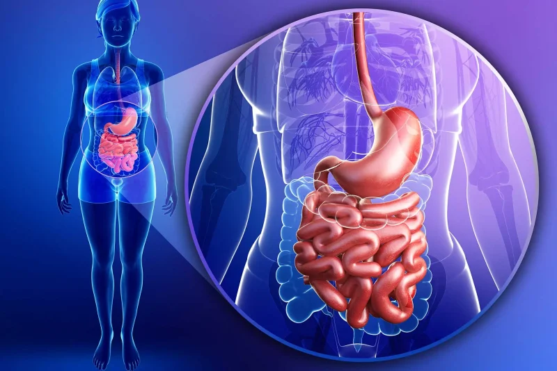 BÄK-Curriculum „Klimawandel und Gesundheit